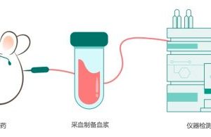 星药科技利用AI发现针对自身免疫性疾病的小分子临床前候选化合物