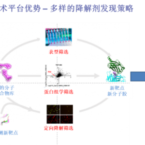 达歌生物完成2200万美元A轮融资，幂方健康基金领投